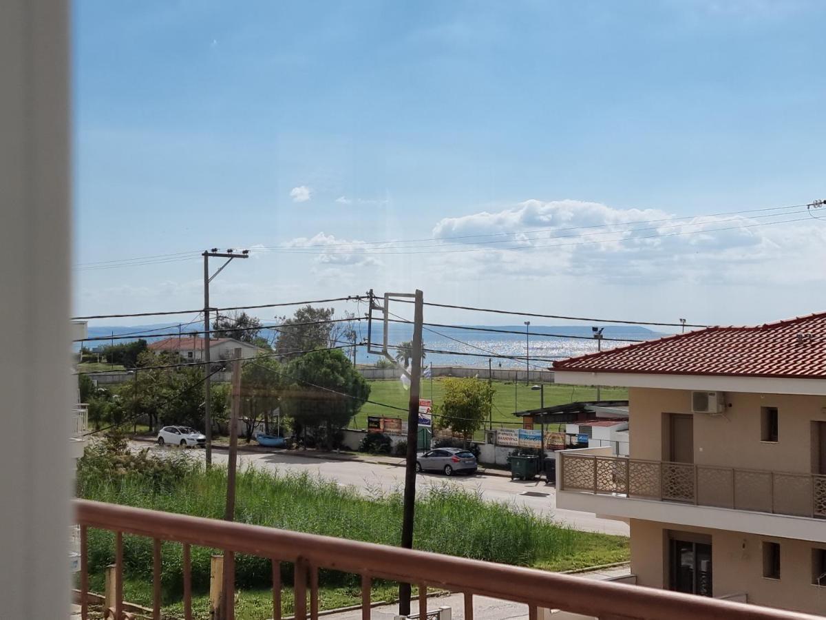 Lucas2 Lux Flogita